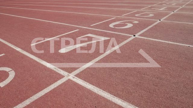 В рейтинге реализации комплекса ГТО Брянщина вышла на 15 место