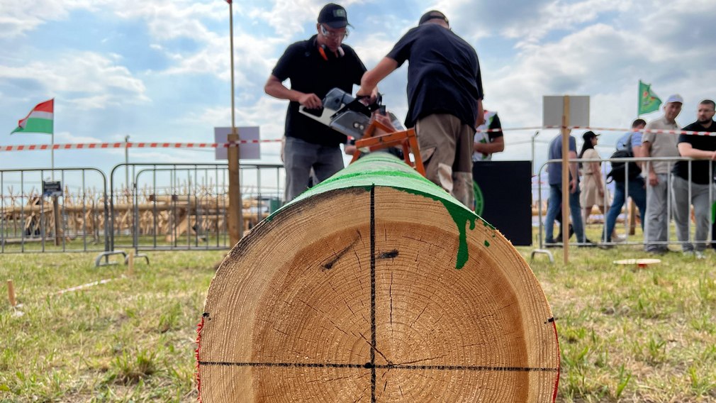 В брянском поселке Кокино прошли соревнования вальщиков леса «Лесоруб-2024»
