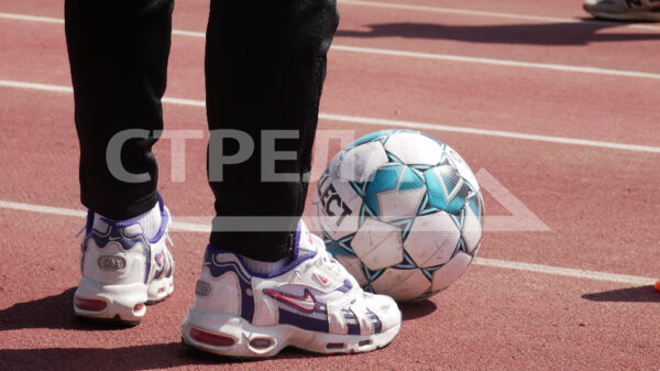 На Брянщине успешно развивается более 80 видов спорта