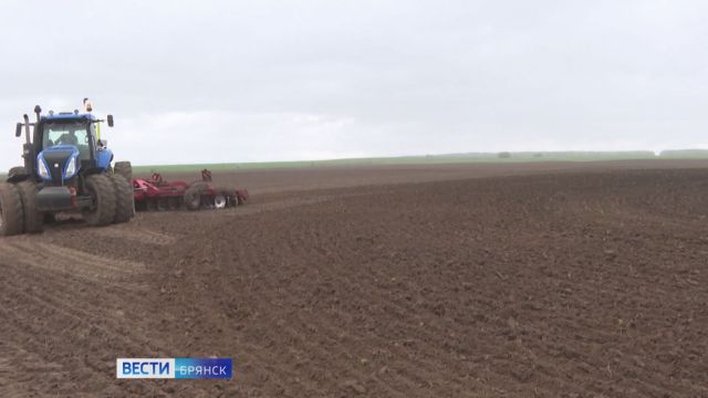 Сев озимых зерновых культур ведется на Брянщине