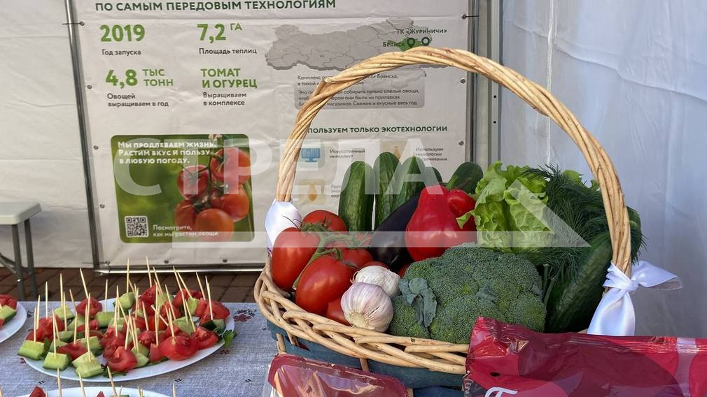 В Брянске продолжаются Дни муниципалитетов