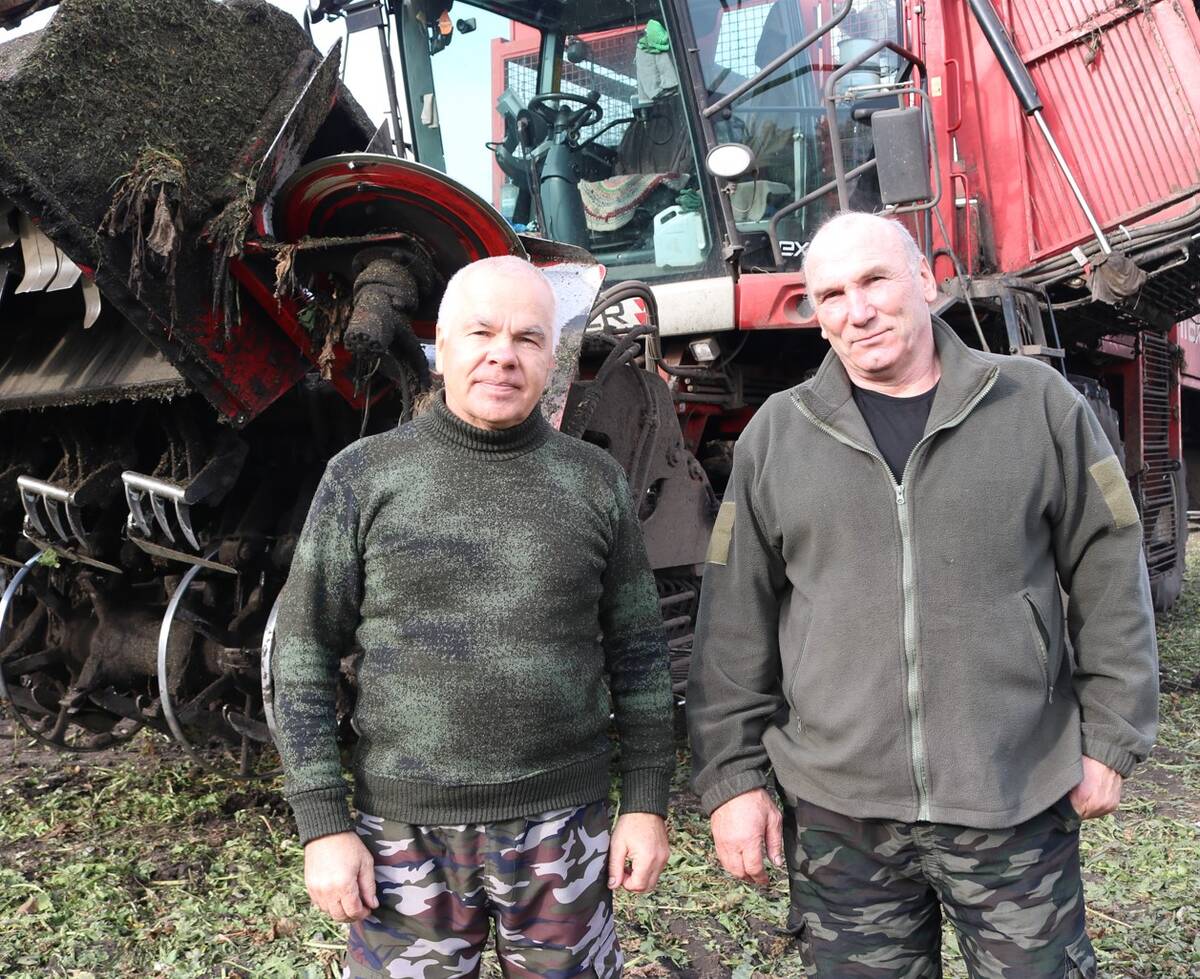 В Брянской области продолжается уборка сахарной свеклы