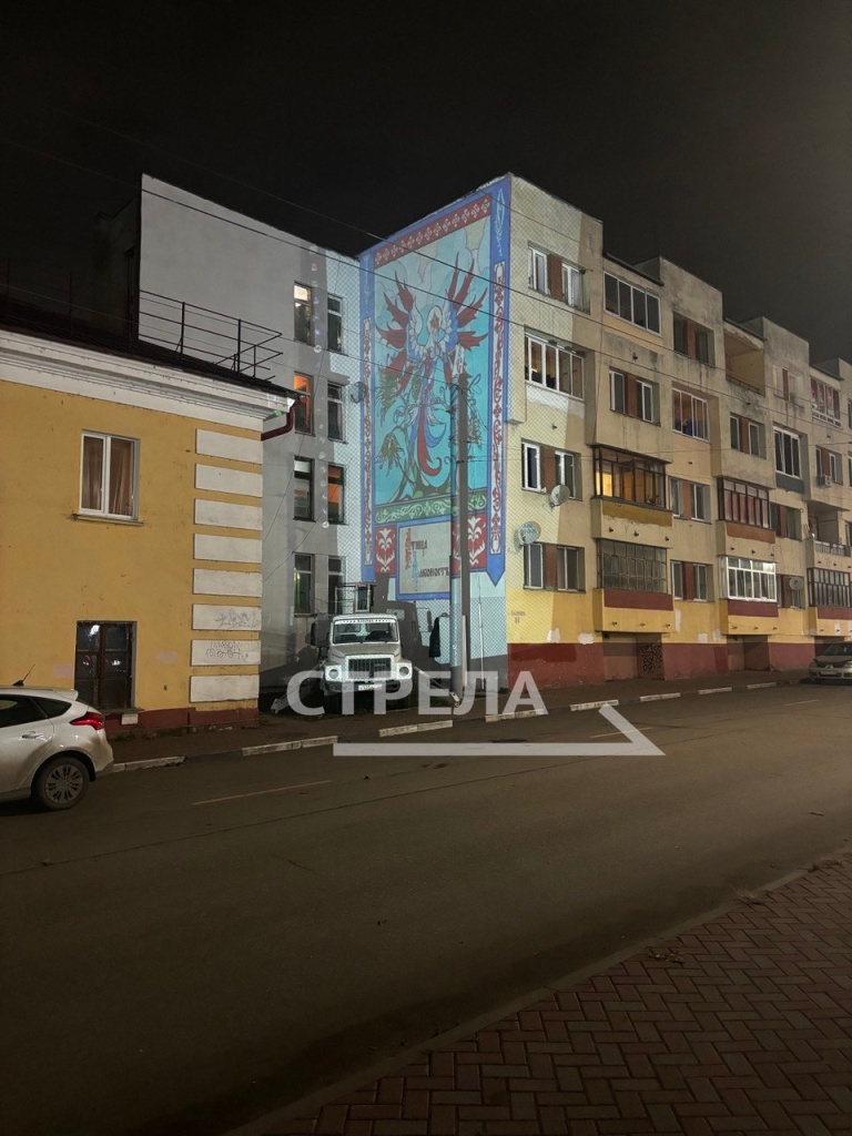 В Брянске появятся два новых мурала