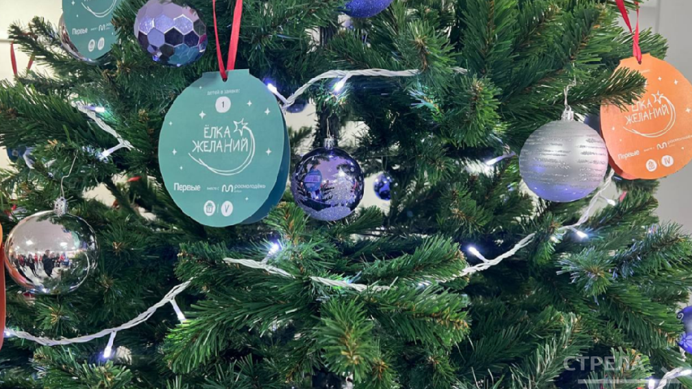 В Брянске на площадке общественной приёмной «Единой России» проходит акция «Ёлка желаний»