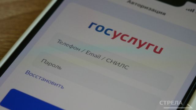 Жителям Брянщины рассказали, как удобно пользоваться приложением Госуслуги.Дом