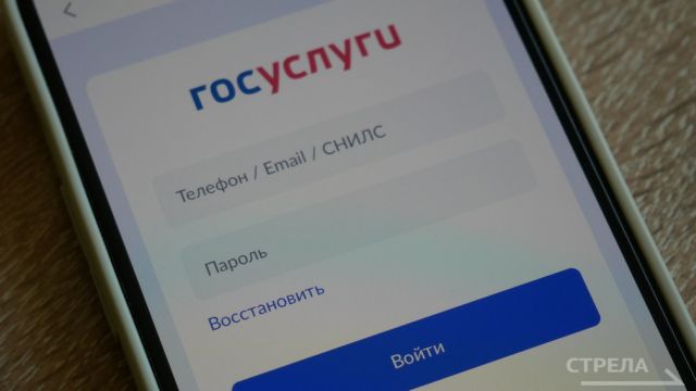 Функцией гостевого режима в приложении Госуслуги.Дом смогут воспользоваться жители Брянщины