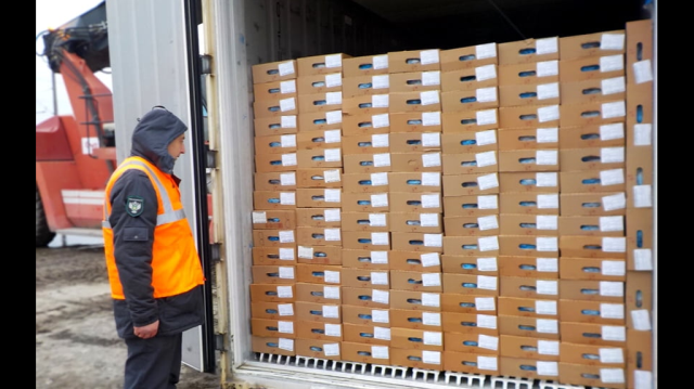 Брянская область за два месяца  отправила на экспорт  15 тысяч тонн  продукции животноводства