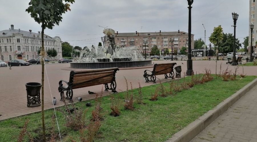 На площади в брянских Клинцах высадили клены, гортензии и барбарис