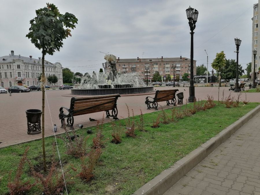 На площади в брянских Клинцах высадили клены, гортензии и барбарис