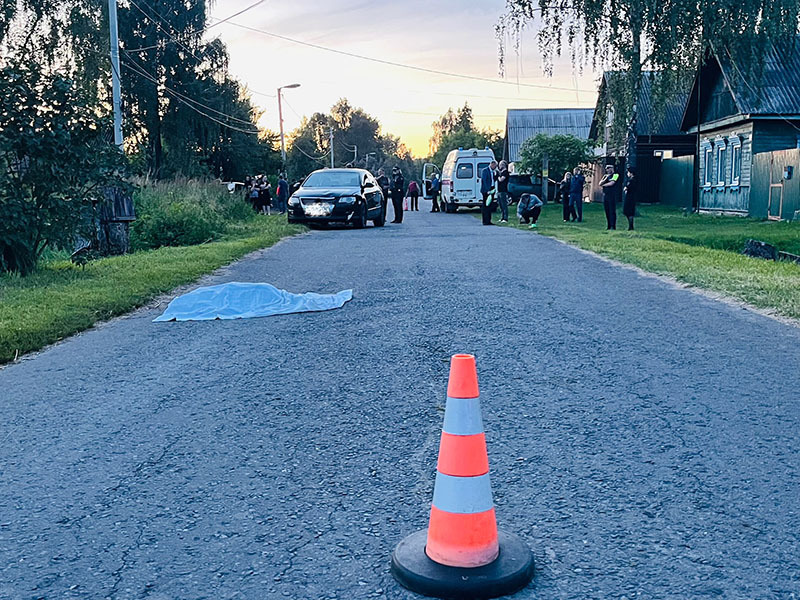 В ДТП в Гордеевском районе Брянщины погиб 4-летний ребенок