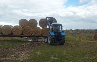 Погода внесла коррективы