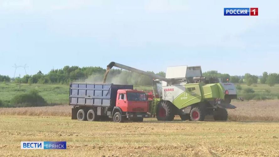 На Брянщине завершили уборку зерновых и зернобобовых культур