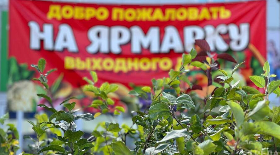 Во всех районах города Брянска продолжают работу ярмарки выходного дня