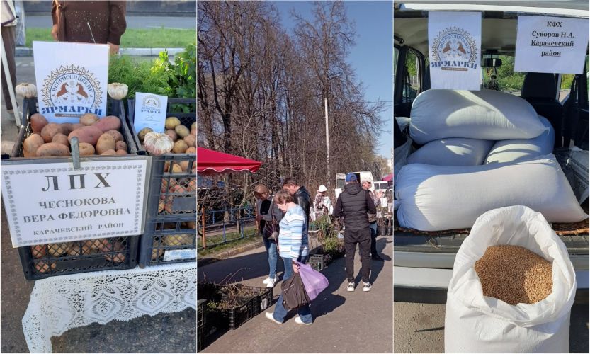 На Брянщине проходят Ярмарки выходного дня