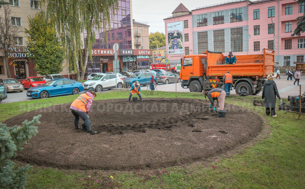 В Брянске приступили к посадке тюльпанов