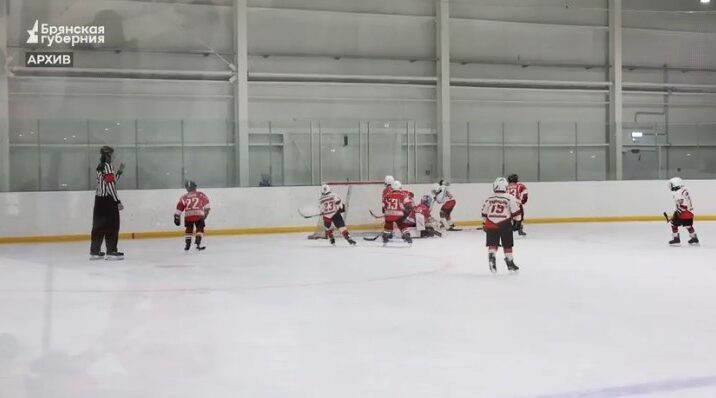 На Брянщине власти уделили большое внимание развитию хоккея