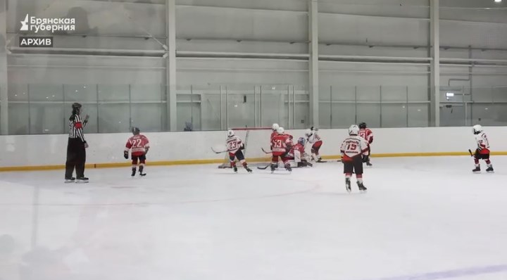 На Брянщине власти уделили большое внимание развитию хоккея