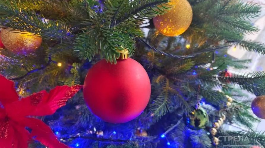 На Брянщине 11 декабря стартует акция «Ёлка желаний»