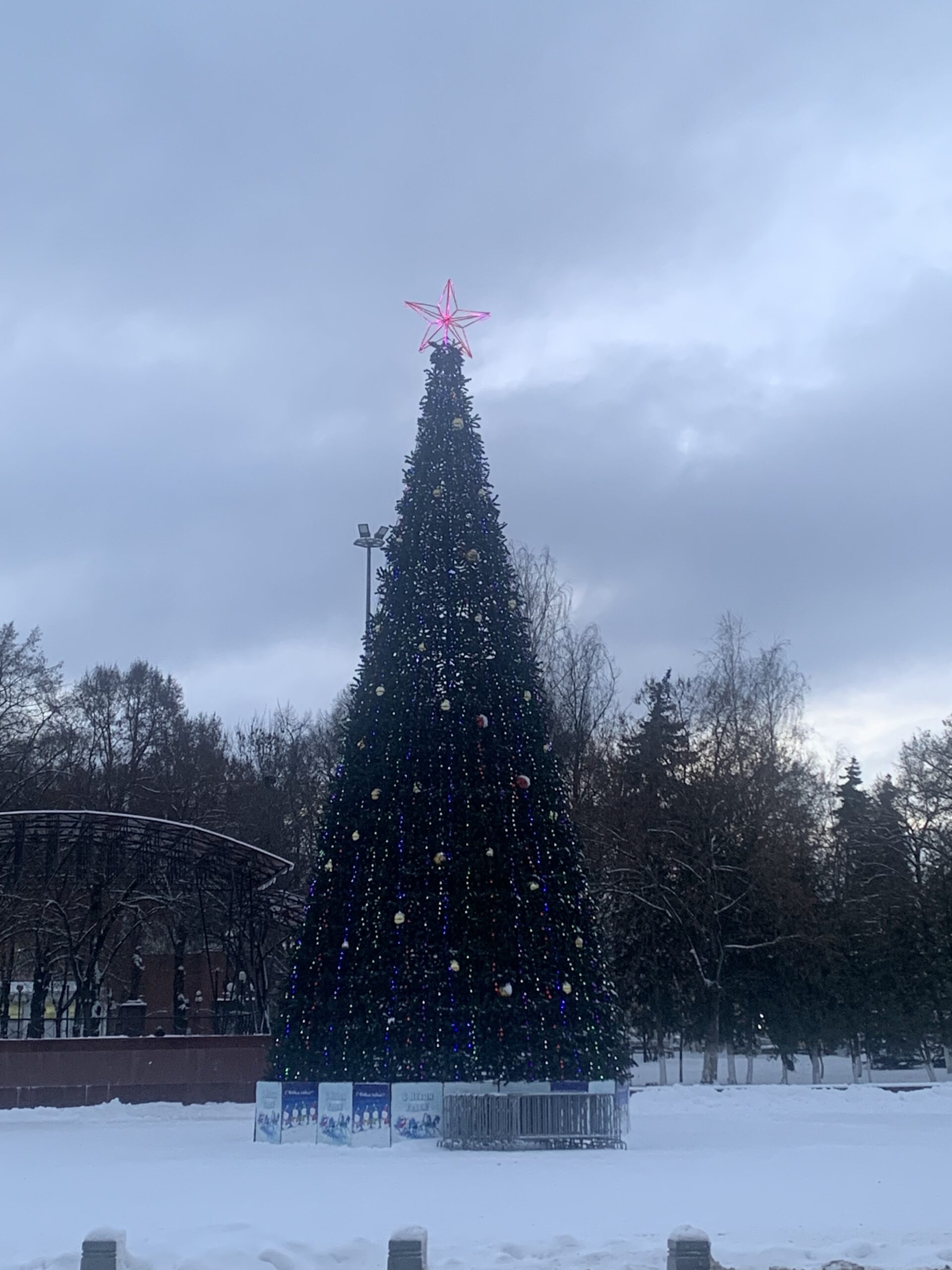 В Клинцах зажглись новогодние огни