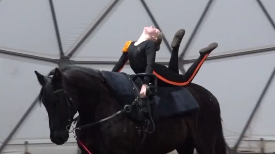 В Брянске прошли соревнования по вольтижировке