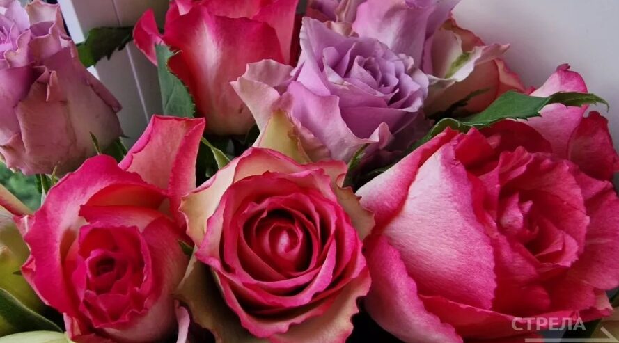 На заседании Брянской облдумы поддержали присвоение почетных званий