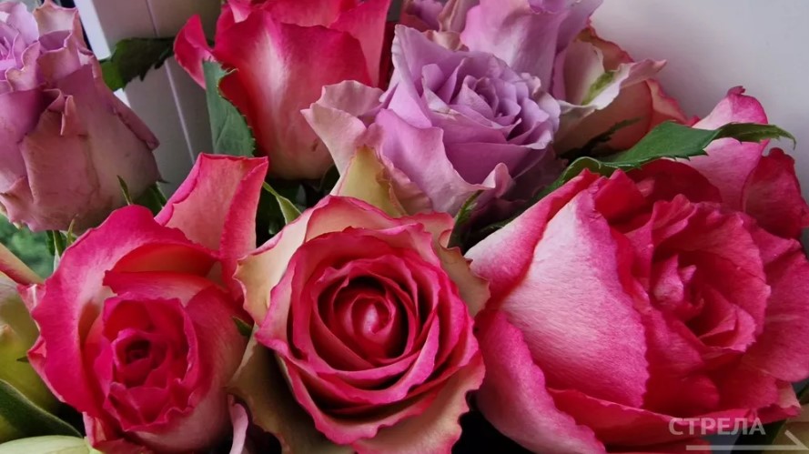 На заседании Брянской облдумы поддержали присвоение почетных званий