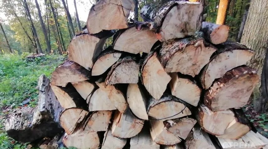 На Брянщине установлена еще одна мера поддержки участникам СВО