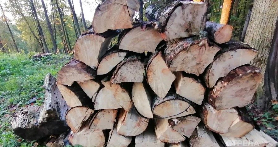 На Брянщине установлена еще одна мера поддержки участникам СВО