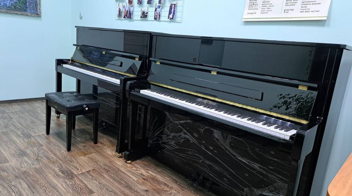 Детская школа искусств брянского Стародуба получила новые музыкальные инструменты