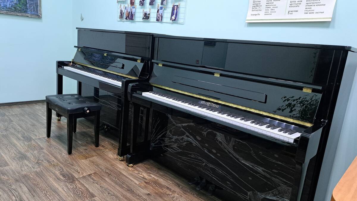 Детская школа искусств брянского Стародуба получила новые музыкальные инструменты