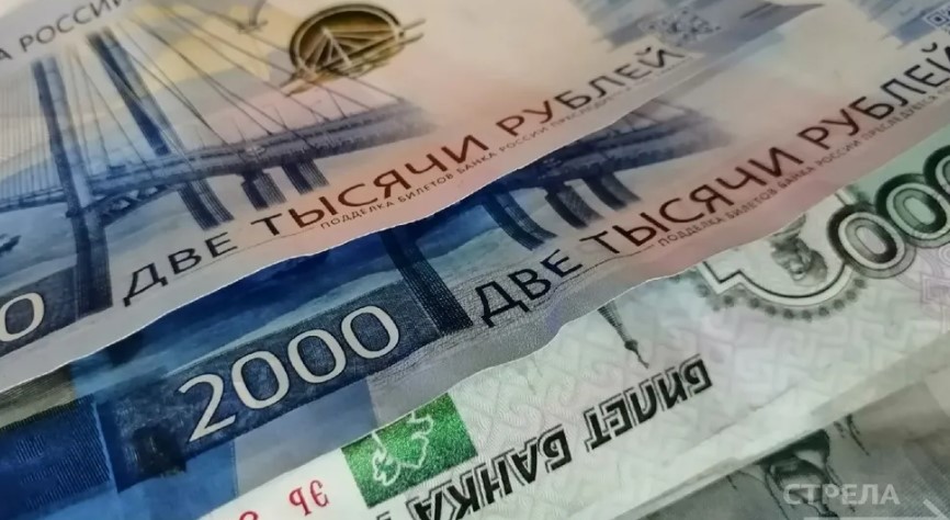 Брянские ветераны СВО могут оформить социальный контракт