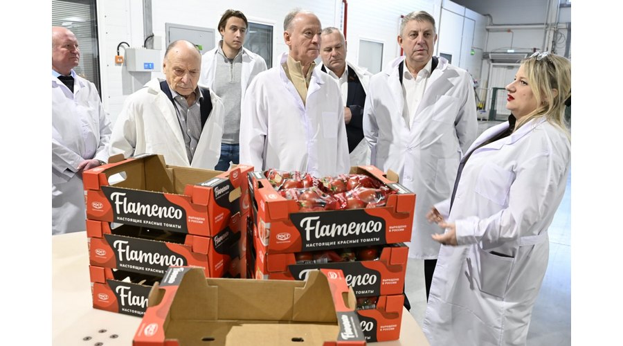 Николай Патрушев побывал в тепличном комбинате «Журиничи» на Брянщине