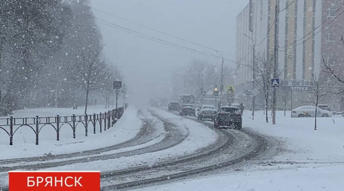 В Брянске справлялись с последствиями снегопада