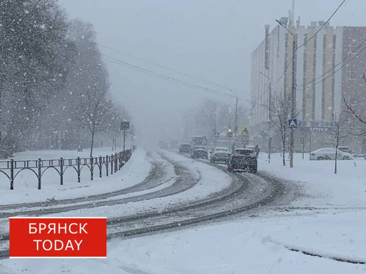 В Брянске справлялись с последствиями снегопада