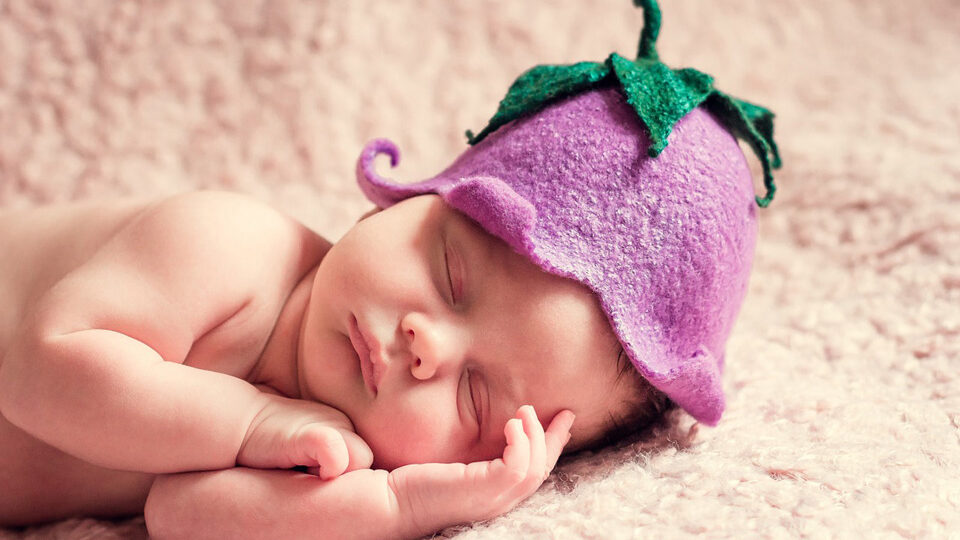 Свадьбы и рождения в декабре в Клинцах и районе