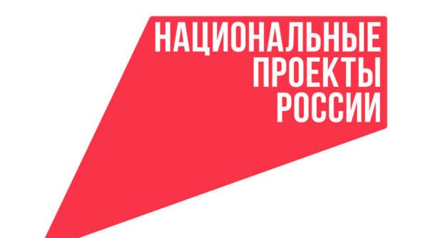 Брянские многодетные семьи по нацпроекту получают меры поддержки