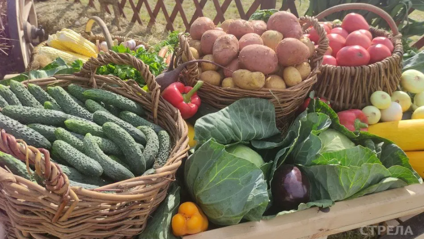 На Брянщине 4 апреля откроются ярмарки выходного дня