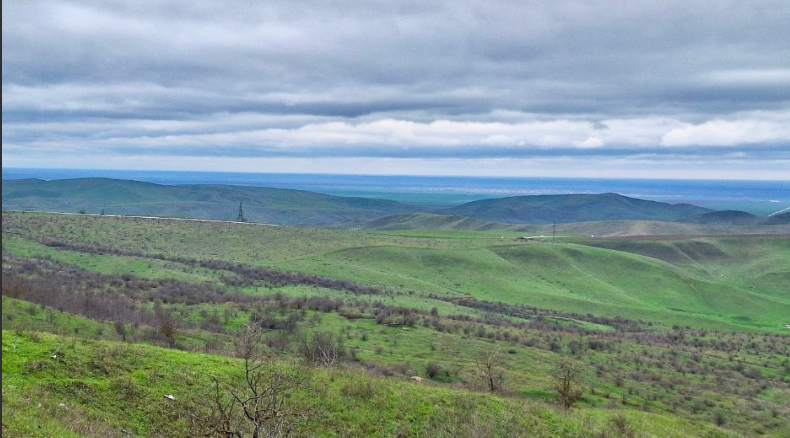 Брянская станция переливания крови обеспечила военный госпиталь…