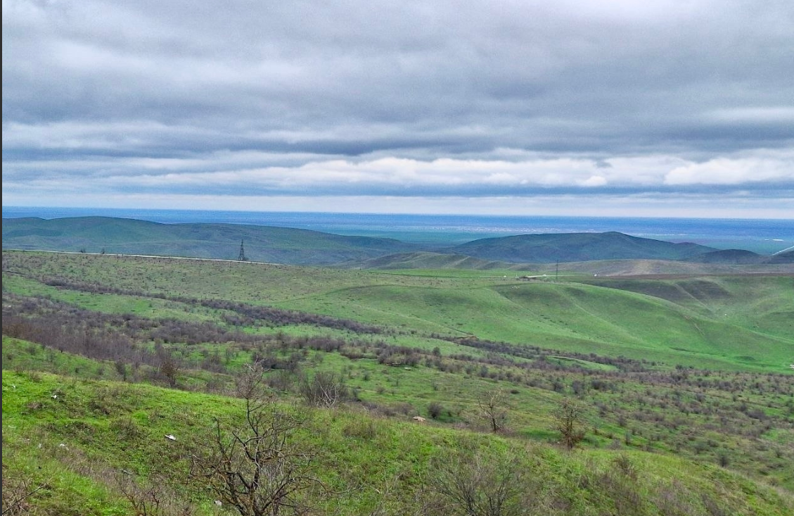 Брянская станция переливания крови обеспечила военный госпиталь…
