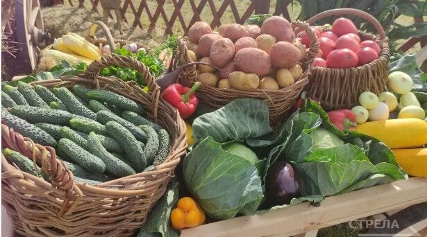 С 4 апреля в Брянске начинают работу ярмарки выходного дня и овощные базары