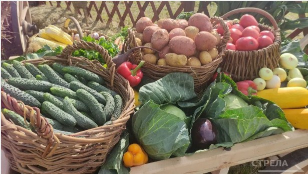 С 4 апреля в Брянске начинают работу ярмарки выходного дня и овощные базары