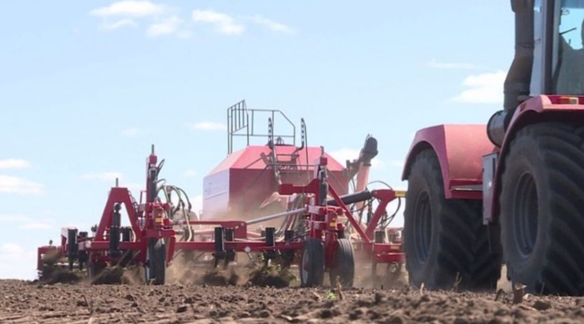 На Брянщине сельхозпредприятия начали посадку раннего картофеля
