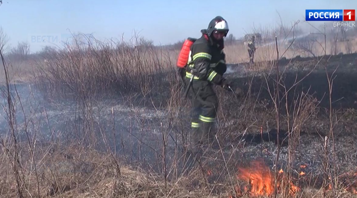 В Брянской области действует пожароопасный сезон