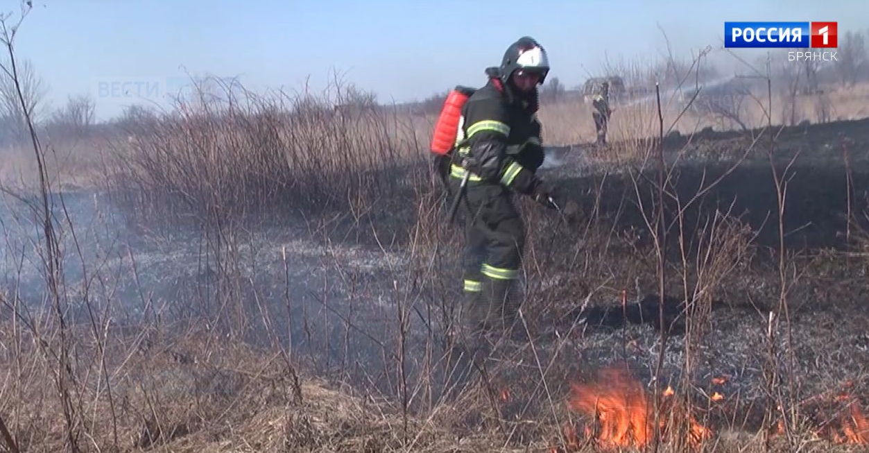 В Брянской области действует пожароопасный сезон