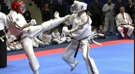 Брянцы приняли участие в чемпионате мира по Косики каратэ