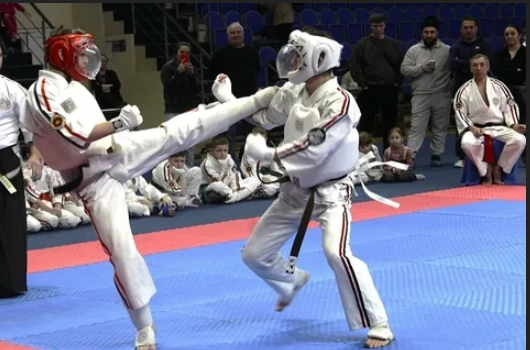 Брянцы приняли участие в чемпионате мира по Косики каратэ