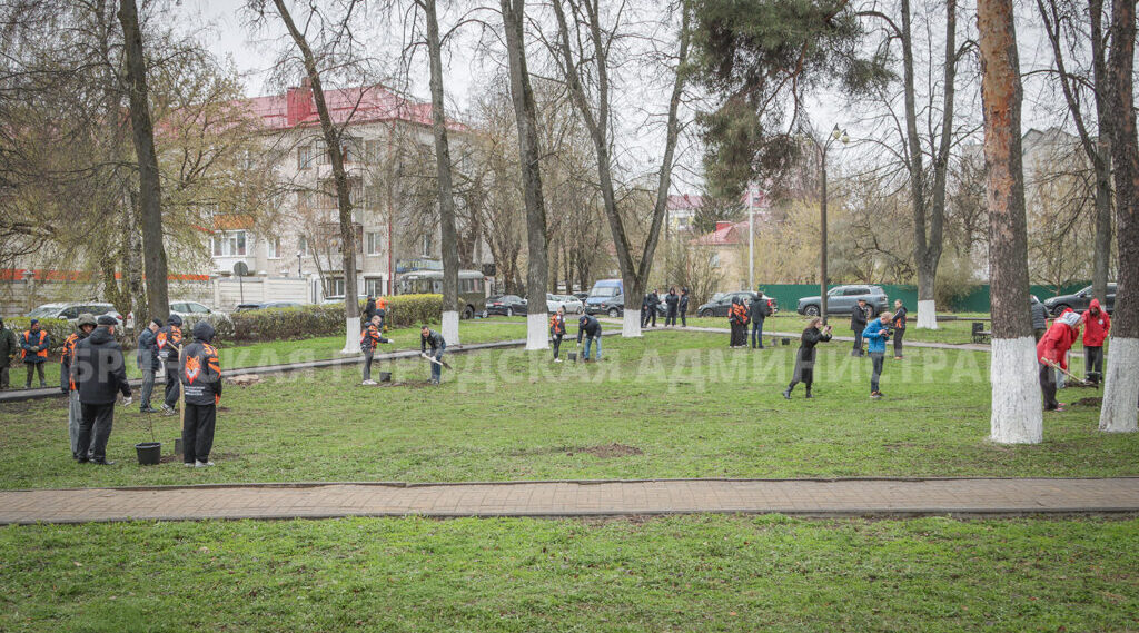 В Брянске высадили клены в память об аварии на ЧАЭС