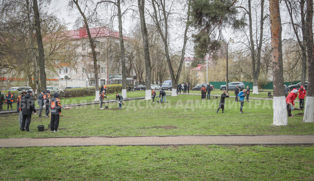 В Брянске высадили клены в память об аварии на ЧАЭС