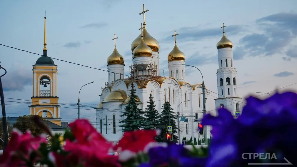 Православные жители Брянщины отмечают Вербное Воскресенье