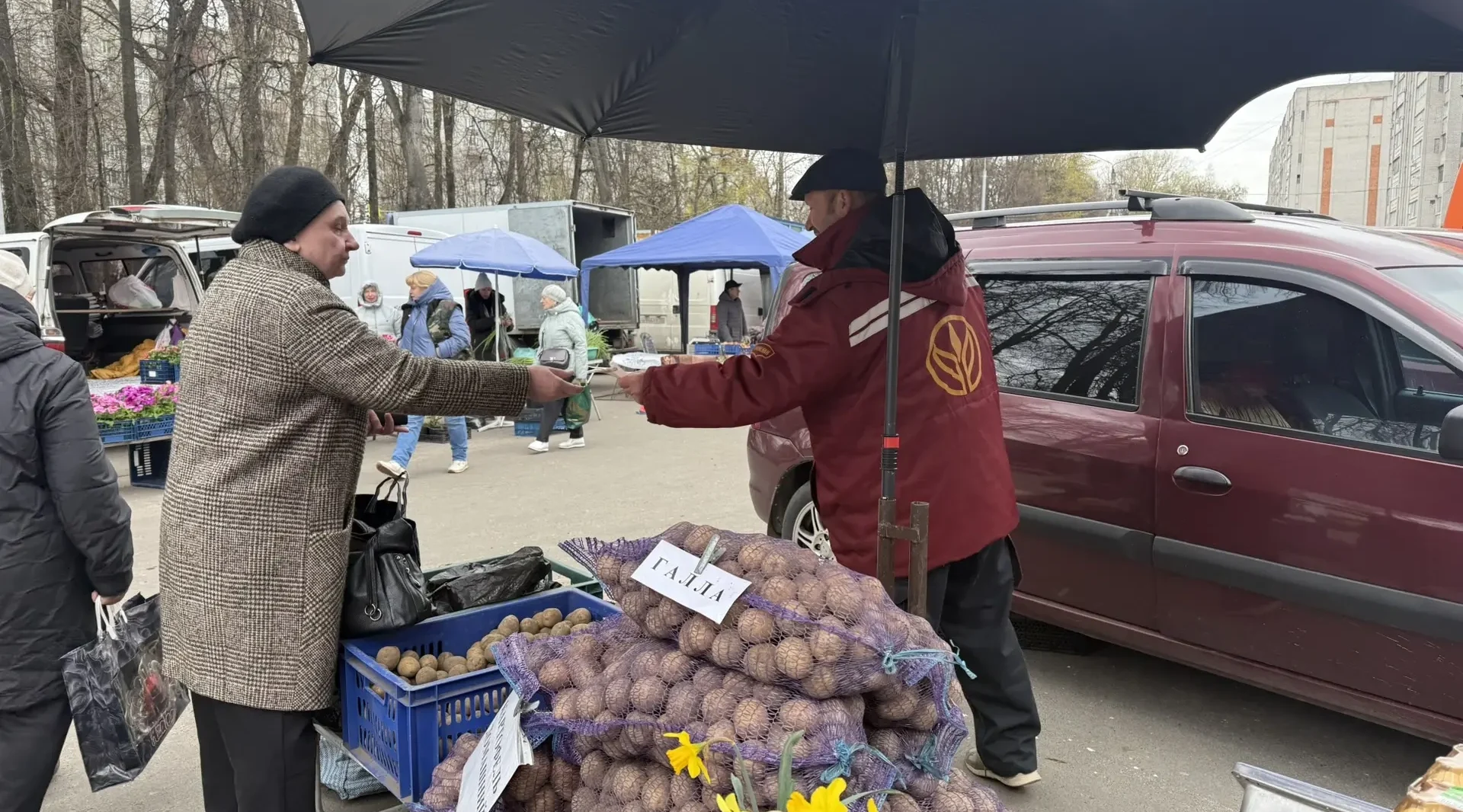 На ярмарке выходного дня в Брянске была представлена продукция  из разных районов области